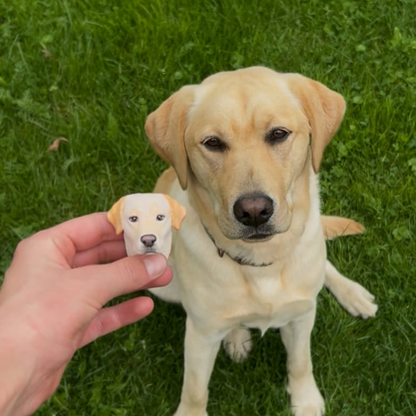 PawLife™ - Personalised Custom Pet Keychain/Magnet