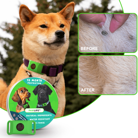 PawLife™ - 12 Months Flea and Tick Tags for Dogs